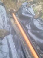 knockduff 12925.jpg