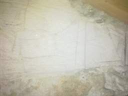 knockduff 12975.jpg