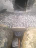 knockduff 13100.jpg