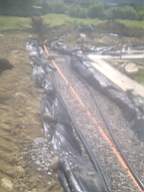 knockduff 13110.jpg