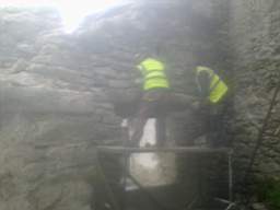 knockduff 13145.jpg