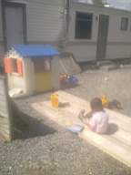 knockduff 13165.jpg
