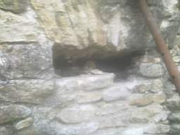 knockduff 13215.jpg
