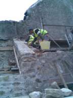 knockduff 13260.jpg