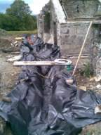 knockduff 13270.jpg