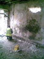knockduff 13360.jpg