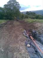 knockduff 13575.jpg