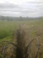 knockduff 13655.jpg
