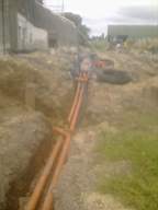 knockduff 13670.jpg