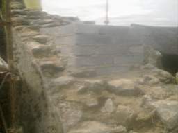 knockduff 13755.jpg