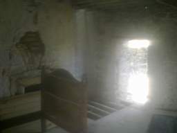 knockduff 13830.jpg