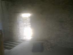 knockduff 13835.jpg