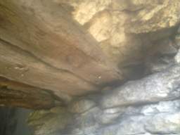 knockduff 13840.jpg