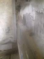 knockduff 13860.jpg