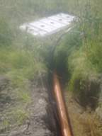 knockduff 13900.jpg