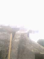 knockduff 13945.jpg