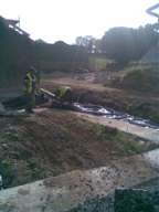 knockduff 14020.jpg
