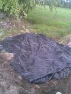 knockduff 14075.jpg