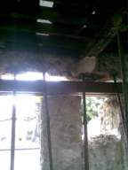 knockduff 14095.jpg
