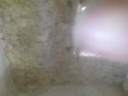 knockduff 14350.jpg