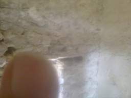 knockduff 14360.jpg