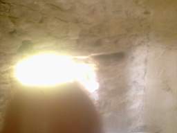 knockduff 14365.jpg