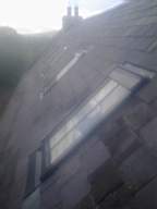 knockduff 14805.jpg