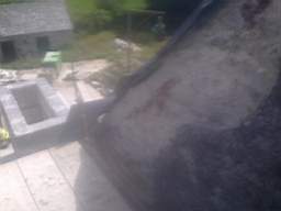 knockduff 14815.jpg
