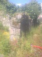 knockduff 14910.jpg