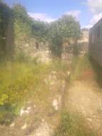 knockduff 14915.jpg