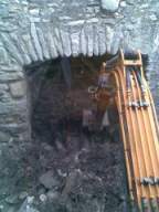 knockduff 15195.jpg