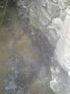 knockduff 15600.jpg