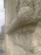 knockduff 15620.jpg