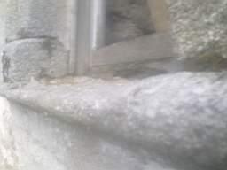 knockduff 15625.jpg