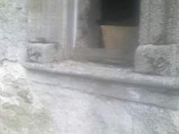knockduff 15635.jpg