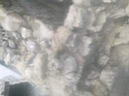 knockduff 15690.jpg