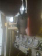 knockduff 15730.jpg