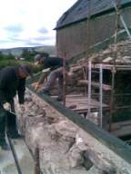 knockduff 15870.jpg