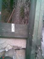 knockduff 15915.jpg