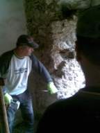 knockduff 16065.jpg