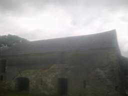 knockduff 16100.jpg