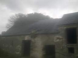 knockduff 16105.jpg