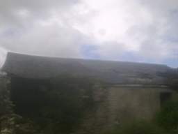 knockduff 16115.jpg