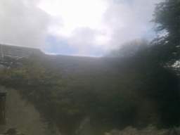 knockduff 16120.jpg
