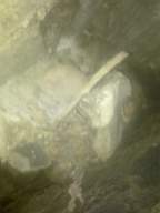 knockduff 16140.jpg