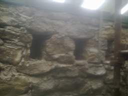 knockduff 16205.jpg