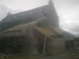 knockduff 16250.jpg