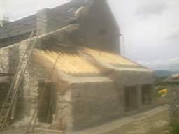 knockduff 16290.jpg