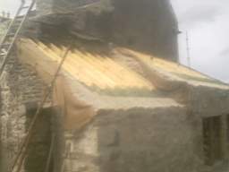 knockduff 16295.jpg