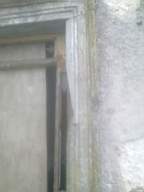 knockduff 16305.jpg